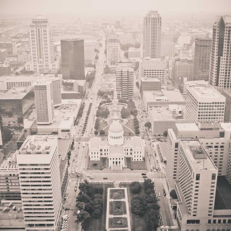 Happy pet being groomed